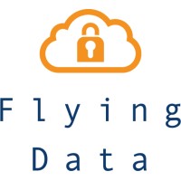 Flying Data logo, Flying Data contact details