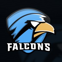 ToxicFalcons Esports logo, ToxicFalcons Esports contact details