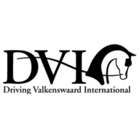 Driving Valkenswaard International logo, Driving Valkenswaard International contact details