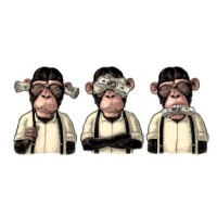 3 Monkeys' Trading BV logo, 3 Monkeys' Trading BV contact details