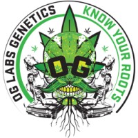 OG Labs logo, OG Labs contact details