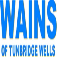 WAINS OF TUNBRIDGE WELLS (DISTRIBUTORS) LIMITED logo, WAINS OF TUNBRIDGE WELLS (DISTRIBUTORS) LIMITED contact details