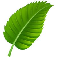 Green Leaf environmental solutions logo, Green Leaf environmental solutions contact details