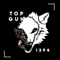 FRC Team 1294: Top Gun Robotics logo, FRC Team 1294: Top Gun Robotics contact details