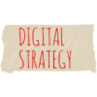 Digitalstrategy.nl logo, Digitalstrategy.nl contact details