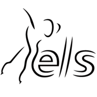 D.S.S.V. ELS logo, D.S.S.V. ELS contact details