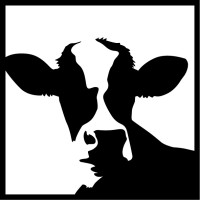 Cash Cow Farmers Werbeagentur logo, Cash Cow Farmers Werbeagentur contact details