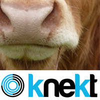 Knekt.nl logo, Knekt.nl contact details