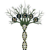 Nature Inspired Computing Optimization Group (NICOG) logo, Nature Inspired Computing Optimization Group (NICOG) contact details