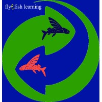 FlyeFish - Learning and Change logo, FlyeFish - Learning and Change contact details