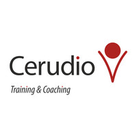 Cerudio logo, Cerudio contact details