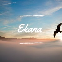 Ekana.nl logo, Ekana.nl contact details