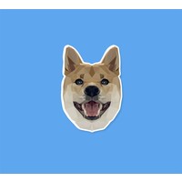 Shiba's Kwispelbox logo, Shiba's Kwispelbox contact details