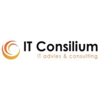 IT Consilium logo, IT Consilium contact details