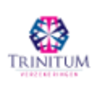 Trinitum B.V. logo, Trinitum B.V. contact details