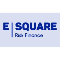 E-Square Risk Finance logo, E-Square Risk Finance contact details