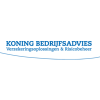 Koning Bedrijfsadvies Haarlem B.V. logo, Koning Bedrijfsadvies Haarlem B.V. contact details