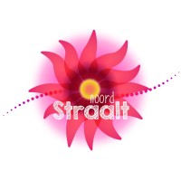 Noord Straalt logo, Noord Straalt contact details