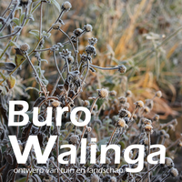 Buro Walinga logo, Buro Walinga contact details