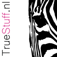 TrueStuff.nl logo, TrueStuff.nl contact details