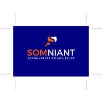 Somniant Accountants en Adviseurs logo, Somniant Accountants en Adviseurs contact details