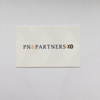 PN & Partners B.V. logo, PN & Partners B.V. contact details