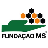 Fundação MS logo, Fundação MS contact details