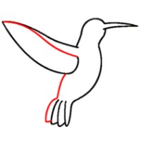 Hummingbird Consulting logo, Hummingbird Consulting contact details