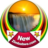 NewZimbabwe.com logo, NewZimbabwe.com contact details