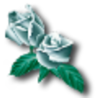 White Rose Translations Ltd logo, White Rose Translations Ltd contact details