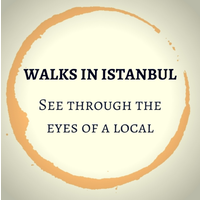 Walks In Istanbul logo, Walks In Istanbul contact details