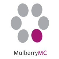 Mulberry Marketing Communications logo, Mulberry Marketing Communications contact details