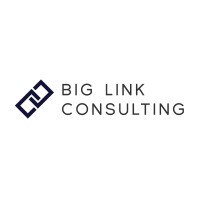 Big Link Consulting logo, Big Link Consulting contact details