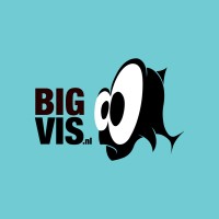 BigVis logo, BigVis contact details