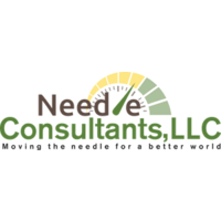 Needle Consultants, LLC logo, Needle Consultants, LLC contact details