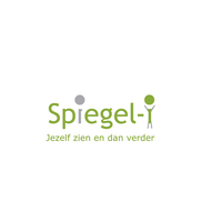 Spiegel-I logo, Spiegel-I contact details