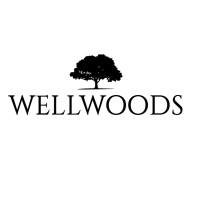 WellWoods Ventures - Developing Cashflows, Delivering Value logo, WellWoods Ventures - Developing Cashflows, Delivering Value contact details