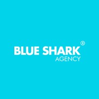 Blue Shark Agency logo, Blue Shark Agency contact details