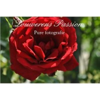 Louwerens Passion logo, Louwerens Passion contact details