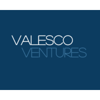 Valesco Ventures logo, Valesco Ventures contact details