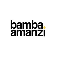 Bamba Amanzi logo, Bamba Amanzi contact details