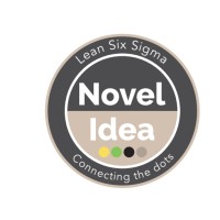 Lean Six Sigma Novel Idea logo, Lean Six Sigma Novel Idea contact details