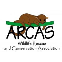 Wildlife Rescue and Conservation Association logo, Wildlife Rescue and Conservation Association contact details