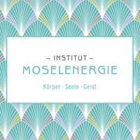 Institut Moselenergie logo, Institut Moselenergie contact details