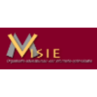 VMvisie logo, VMvisie contact details