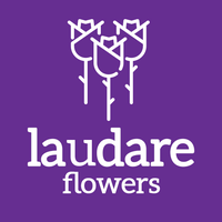 Laudare Flowers logo, Laudare Flowers contact details