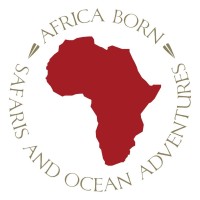 Africa Born logo, Africa Born contact details