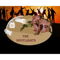 The spotlights logo, The spotlights contact details