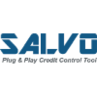 SALVO SYSTEMS logo, SALVO SYSTEMS contact details