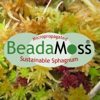 BeadaMoss® (Micropropagation Services (E.M.) Ltd.) logo, BeadaMoss® (Micropropagation Services (E.M.) Ltd.) contact details